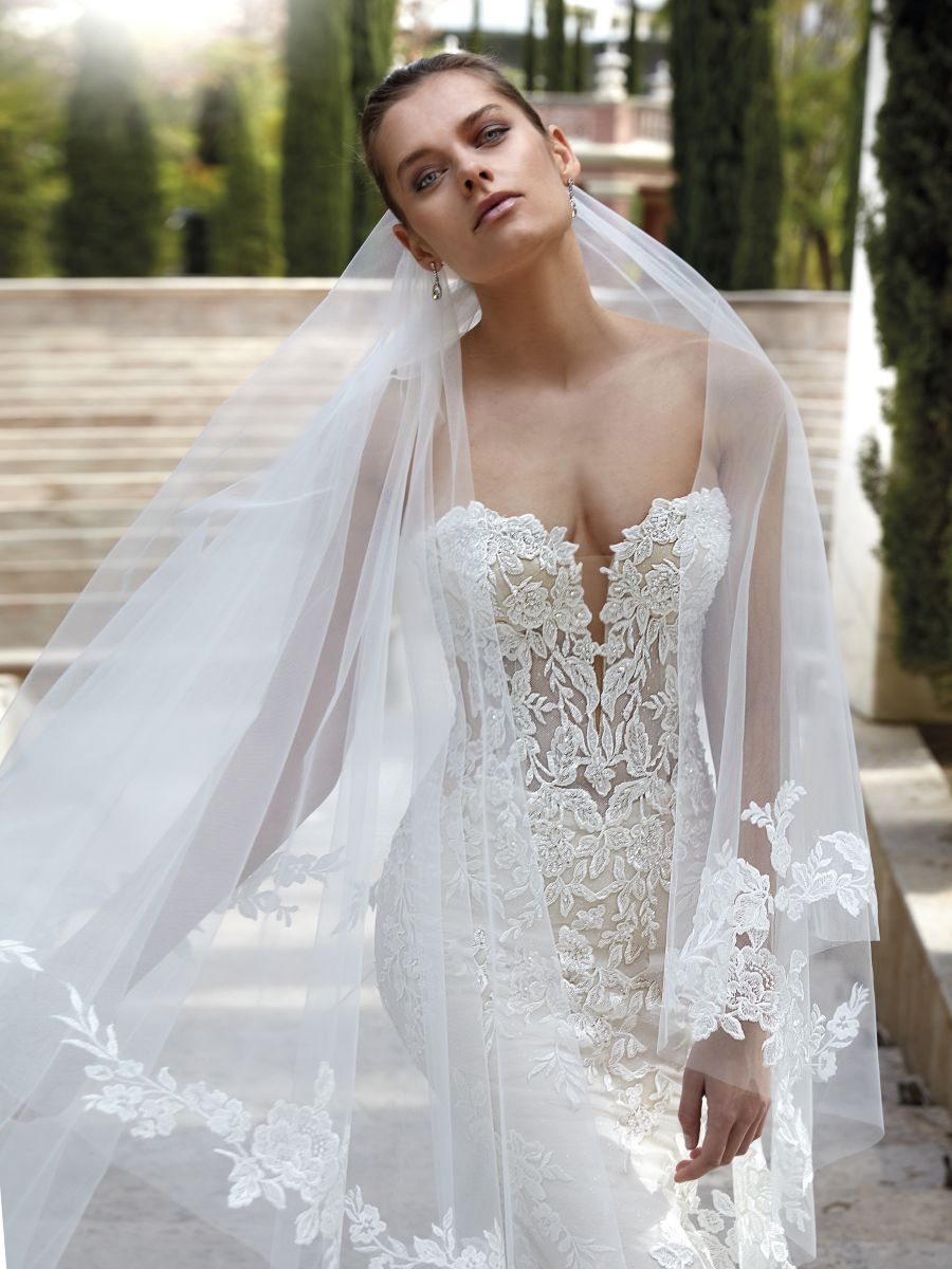 Demetrios D1195, 2. kép