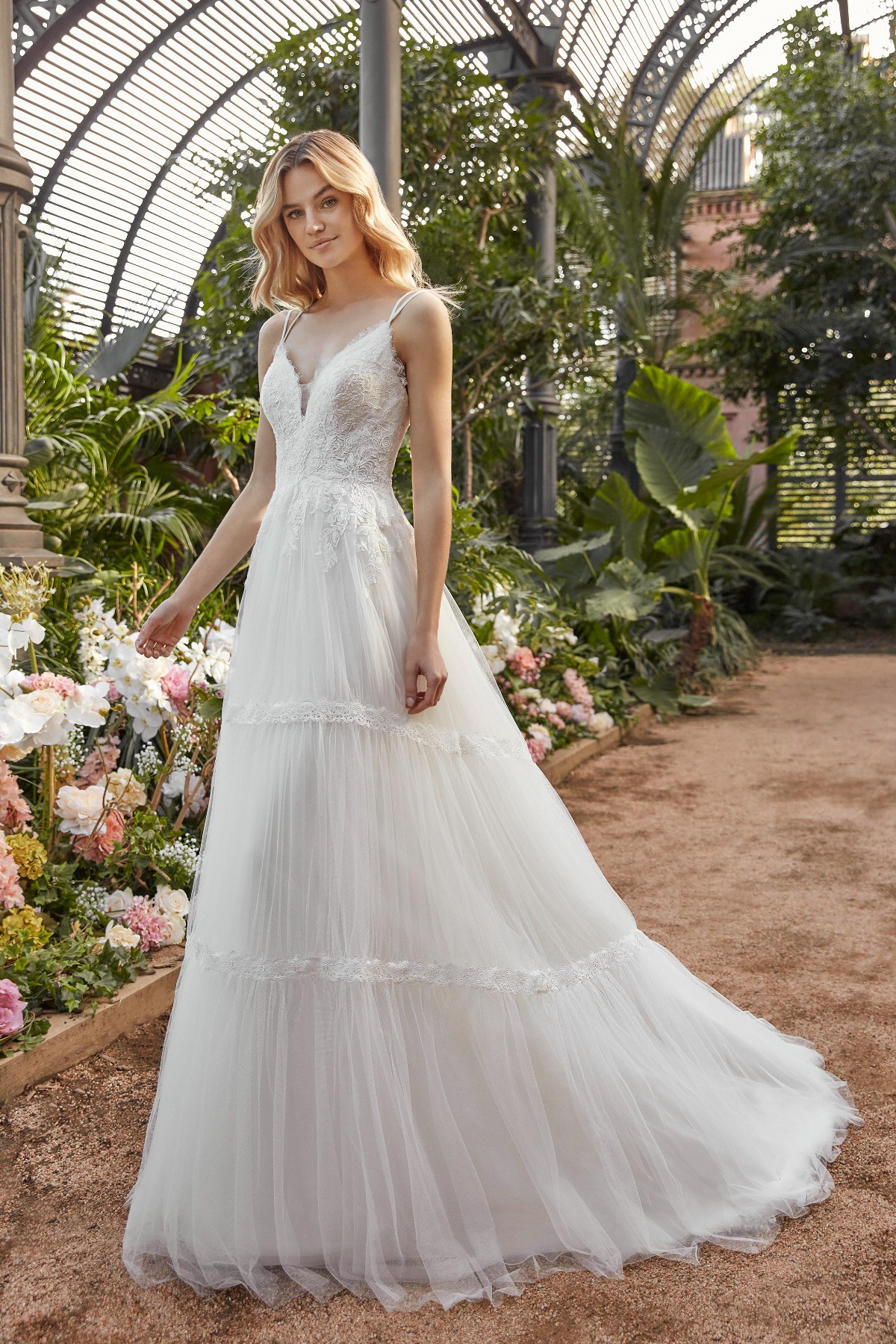 La Sposa Aralia