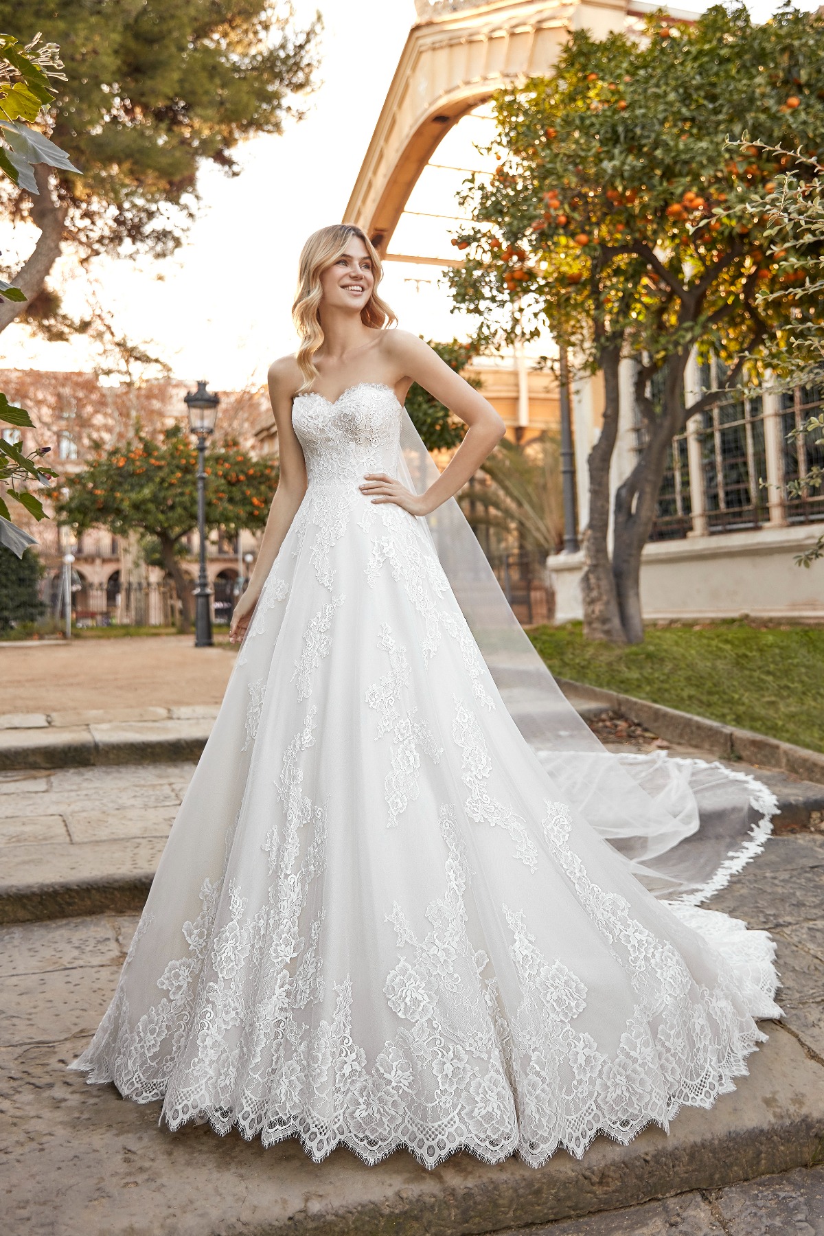 La Sposa Liatris